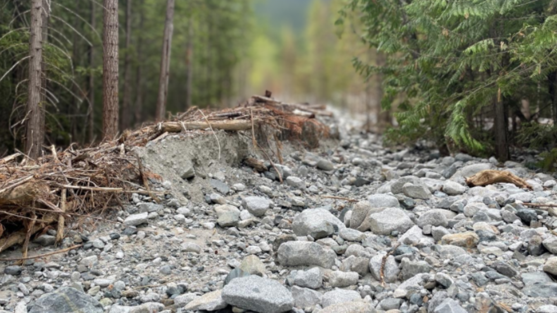 Link, Place Glacier project page