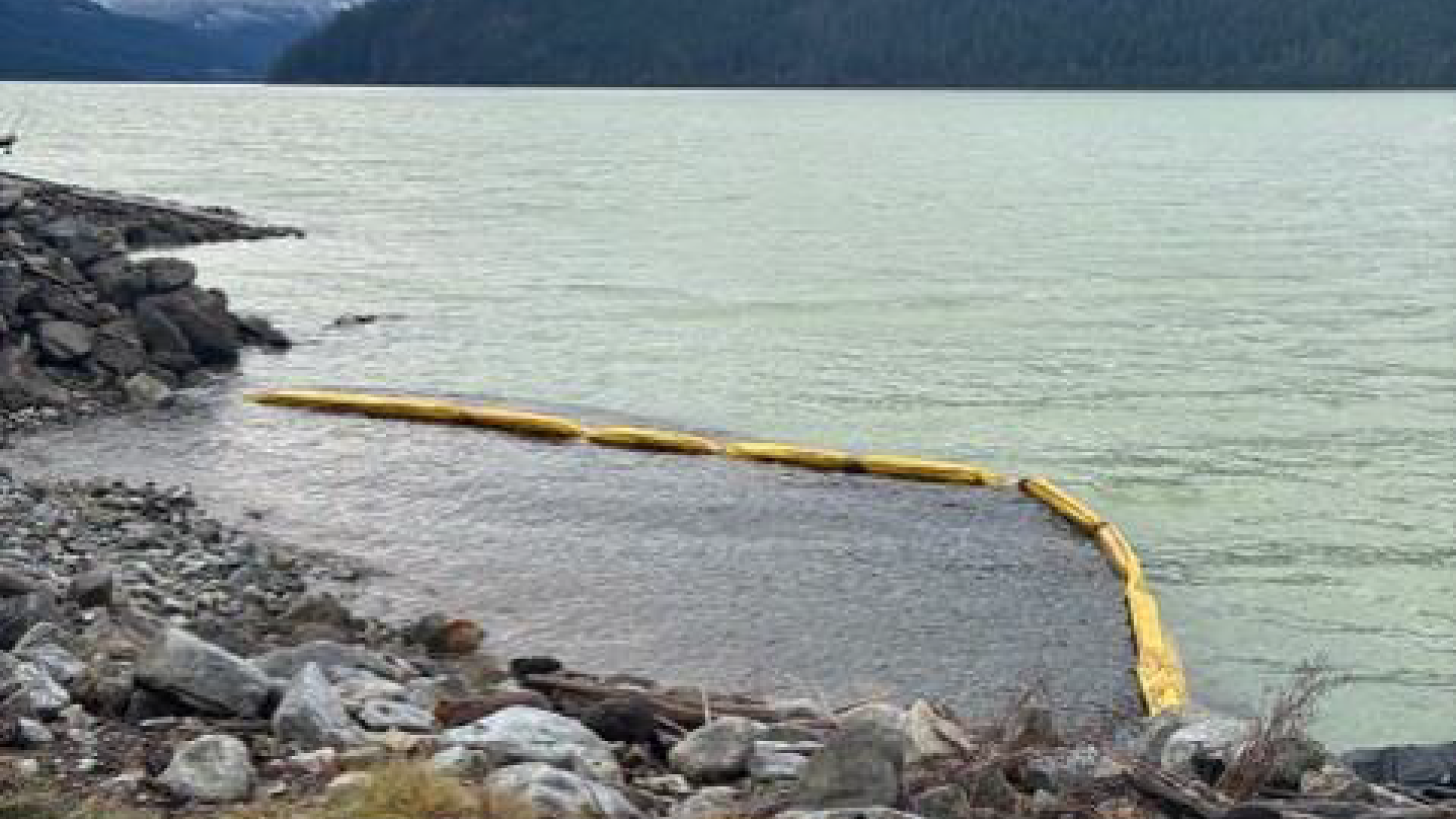 Silt Curtain at mouth of Creek December 2025 (LLE)